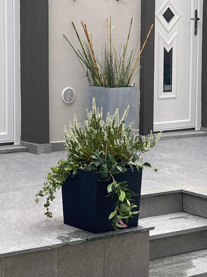 טורינו Decoluxe !Apartamento Con 1 Camera Da Letto , In Zona San Paolo , Via Martiniana מראה חיצוני תמונה